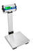 Adam Equipment CPWplus 150P - CPWplus Bench and Floor Scale -  330lb / 150kg, 0.1lb / 0.05kg